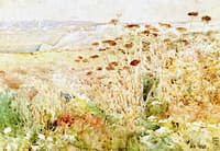 Isles of Shoals