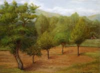 Spring Landscape