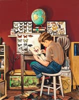 The Collector