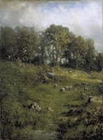 Hillside Pasture