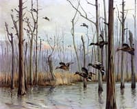The River Bottoms
