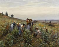 Grape Harvest