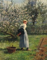 In the Orchard