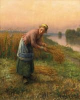 The Gleaner