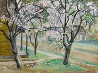 Blossoming Fruit Trees