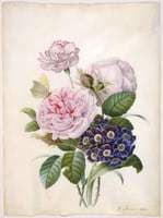 A bunch of Roses, Carnations and Auricula with bufferflys