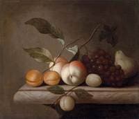 Still-Life