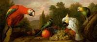 Composition with Parrots and Fruit