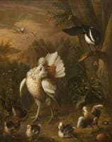 Farmyard Scene