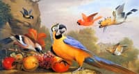 Exotic Birds