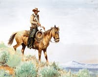 Mounted Cowboy