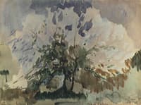 A Tree in Bloom