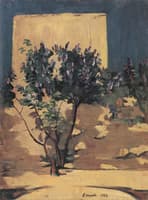 Lilac Bush