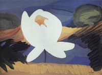 Lotus Flower