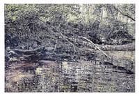 Cedarburg Brook