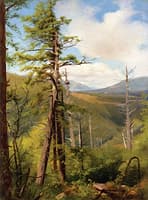 Hemlock, Kaaterskill Clove