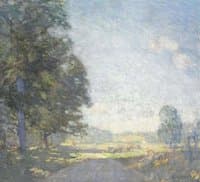 Edge of Woods
