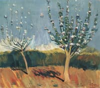 Apple Trees in Flower