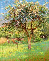 Blossoming Trees i Het Gooi