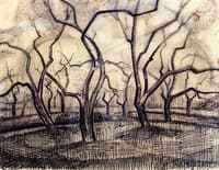 The Orchard