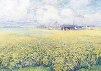 Mustard Field
