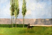 The Meadow