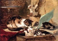 Kittens at Play