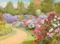 The Rhododendron Walk