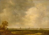 Panoramic View of a River with Low-lying Meadows