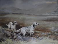 Two English Setter Dogs