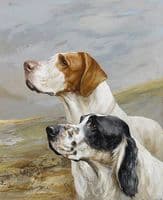 English Setter and Pointer