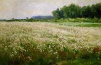 The Meadow