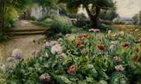 June. Poppies