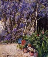 Capri
