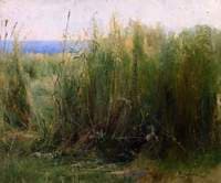 Flax