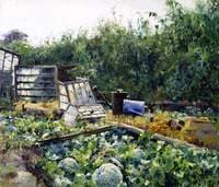 Vegetable Gardens