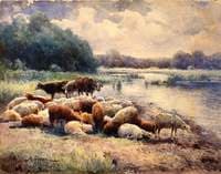 Sheep by the River