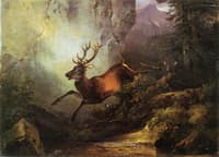 Deer Running through a Forest