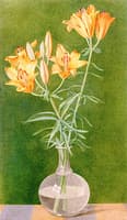 Lilies in a Vase