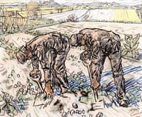 The Laborers
