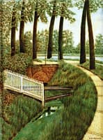 Curving Path to the Amstel