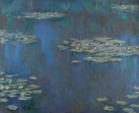 Water Lilies
