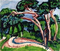 Trees above Sandy Path