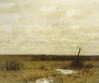 Meadow and Sky