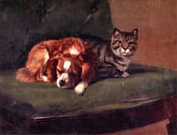 Best Friends