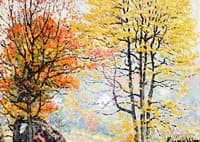 Autumn Glory