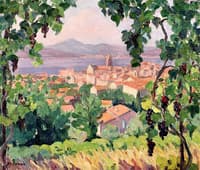 Saint Tropez