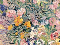 Various Flowers