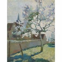 Apple Tree