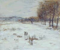 Snowy Landscape